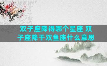 双子座降得哪个星座 双子座降于双鱼座什么意思